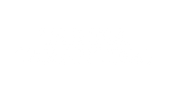 TARINA TARANTINO